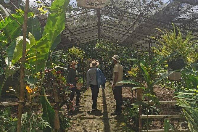 Coffee Farm - Group Tour and Daily Departure - Meeting and Pickup Details