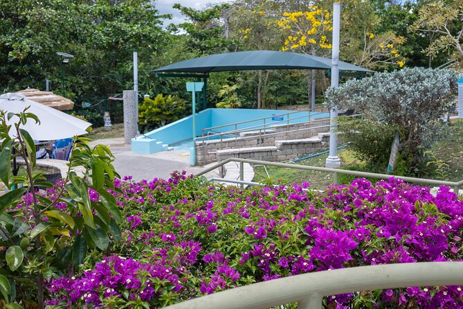 Coffee Lovers Tour in Puerto Rico - Thermal Springs Experience