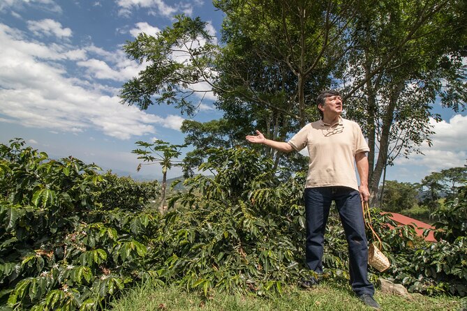 Coffee Paradise at El Paraiso - Experience From Bogota - Discovering Bogotás Coffee Culture