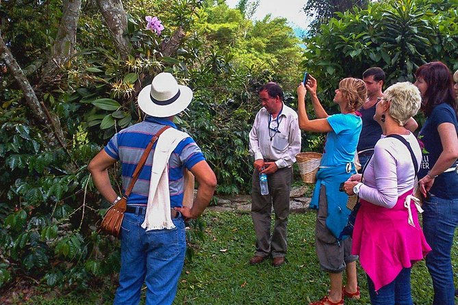 Coffee Plantation Tour From Bogota - Tour Experience