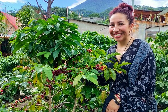 Coffee Tour in Lake Atitlán - Pickup and End Point