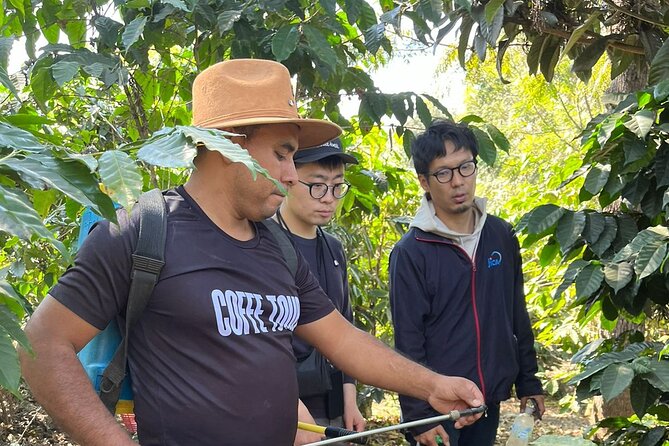 Coffee Tour Near the Agua Volcano With Tasting - Pickup and Arrival
