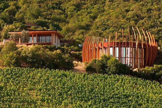 Colchagua Valley Experience - Renowned Wineries in the Valley