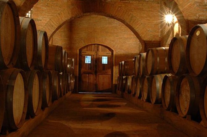 Colchagua Valley Winery Day Trip From Santiago - Wine Tasting Experiences