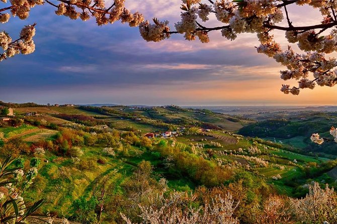 Collio: Cividale Del Friuli and Wine Tastings From Trieste - Convenient Door-to-Door Transfers