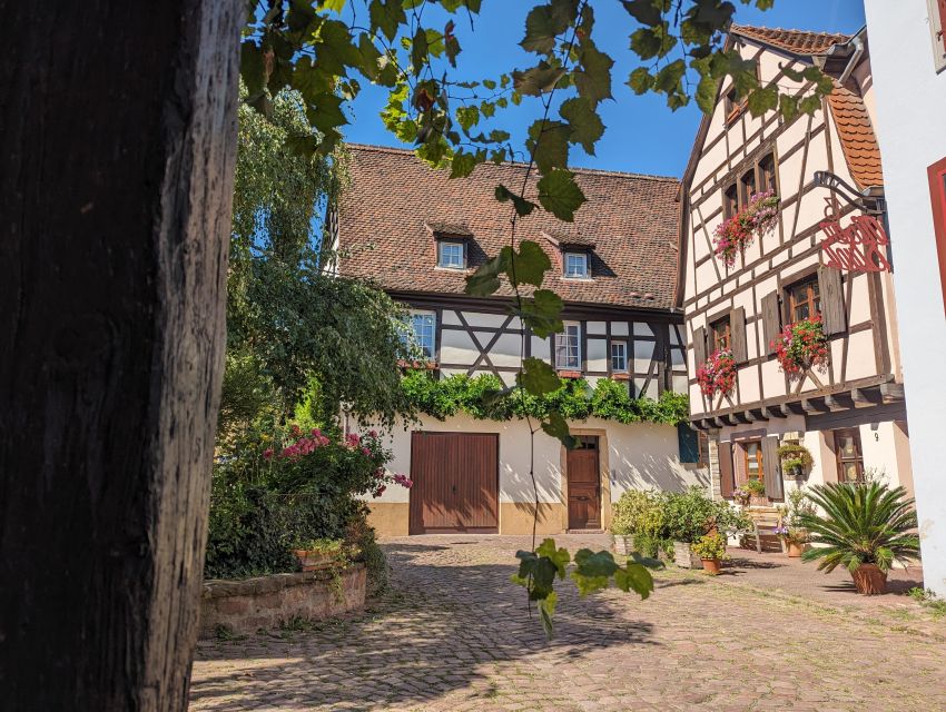 Colmar: Unusual Walking Tour With a Local Guide - Experience Highlights