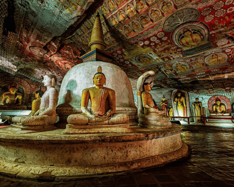 Colombo: Sigiriya & Dambulla Excursion Followed by a Safari - Itinerary Highlights