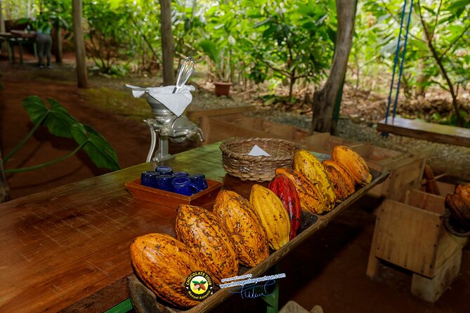 Combo 3: Manuel Antonio Park Tour & Chocolate Tour - Chocolate Tour