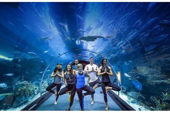 Combo Dubai Mall Aquarium + Skyview Observatory Tickets - Discovering the Dubai Mall Aquarium