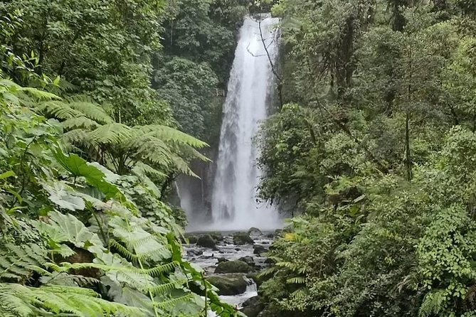 Combo Tour Poas Volcano and La Paz Waterfall and Coffee Tour - Tour of Hacienda Alsacia Starbucks Farm