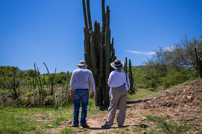 Community and Biodiversity Tour of the Tatacoa Desert. Villavieja - Fauna Encounters
