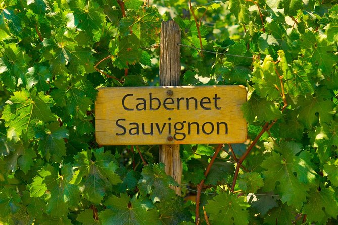 Concha Y Toro Vineyard - Tour Experiences