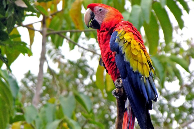 Copan Ruins Overnight Trip From Guatemala City - Accommodation and Meals