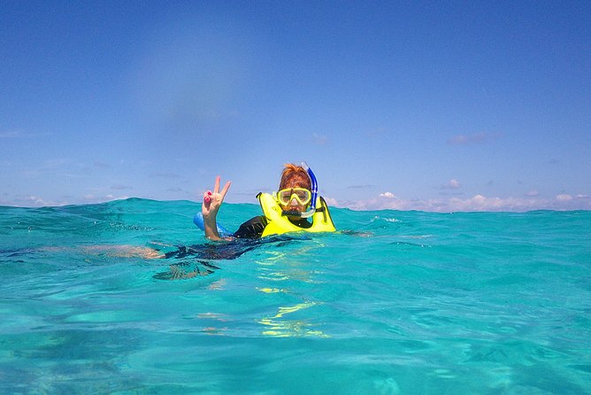 Coral Reef Private Snorkel Tour Out to John Pennekamp Coral Reef State Park - Meeting Point and Logistics