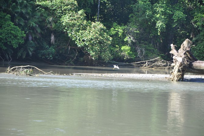Corcovado Sirena-Over Night Tour - Itinerary for Day 2