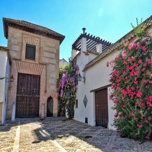 Cordoba: Archaeological Museum Entry Ticket With Guided Tour - Accessibility and Convenience