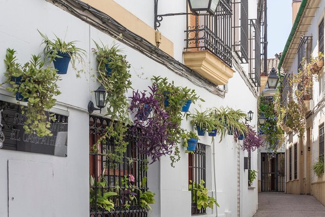 Cordoba Full Day Trip With Mosque Entrance From Costa Del Sol - Detailed Itinerary