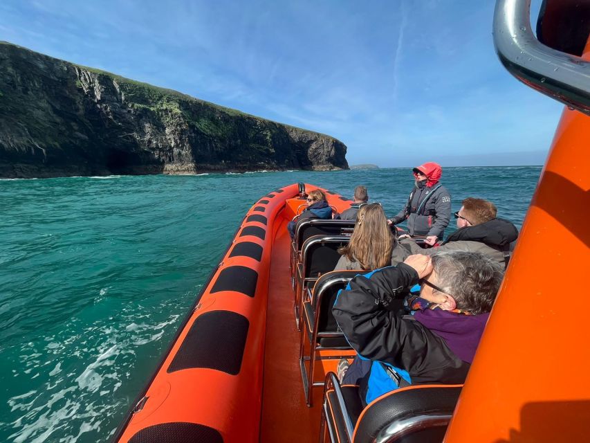 Cornwall: Guided Seal Safari by Boat - Highlights of the Tour