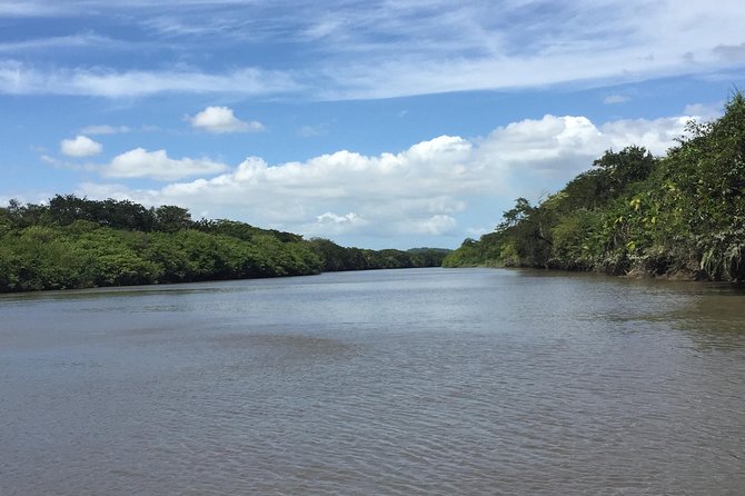 Costa Rican Wildlife: Palo Verde National Park Private Tour - Cruise on the Tempisque River
