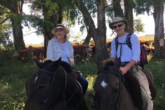 Countryside Escape: Horseback Riding Experience in Carlos Keen - Horseback Riding on Criollo Horses