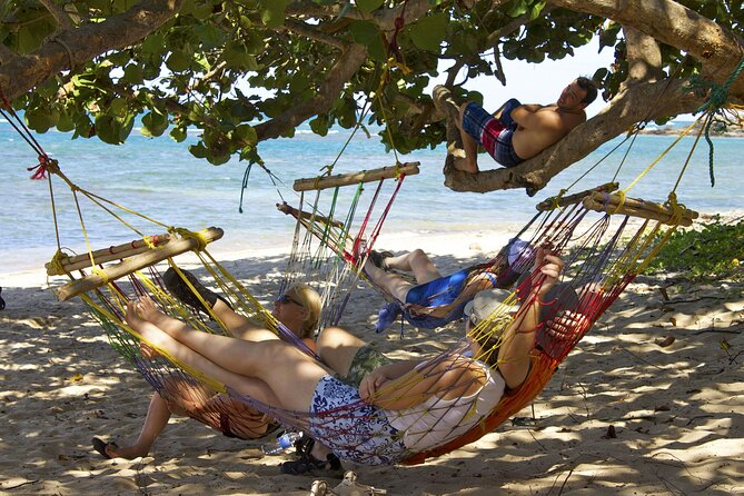 Countryside Full-Day Guided Tour With Beach Stop and Lunch - Participant Requirements and Restrictions