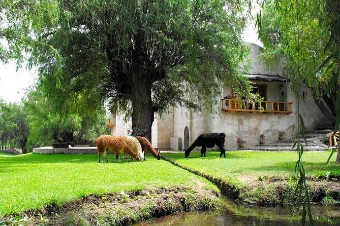 Countryside Tour Arequipa - Panoramic Visit to Plaza De Armas