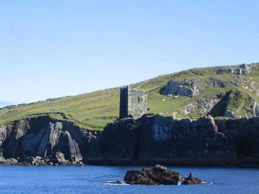 County Cork: Whale & Dolphin Watching Boat Trip - Wildlife You Might See