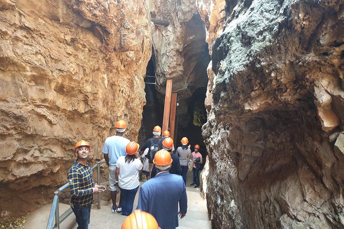 Cradle of Human Kind Tour and Lesedi Cultural Village Day Tour - Discovering Ancient Hominid Fossils