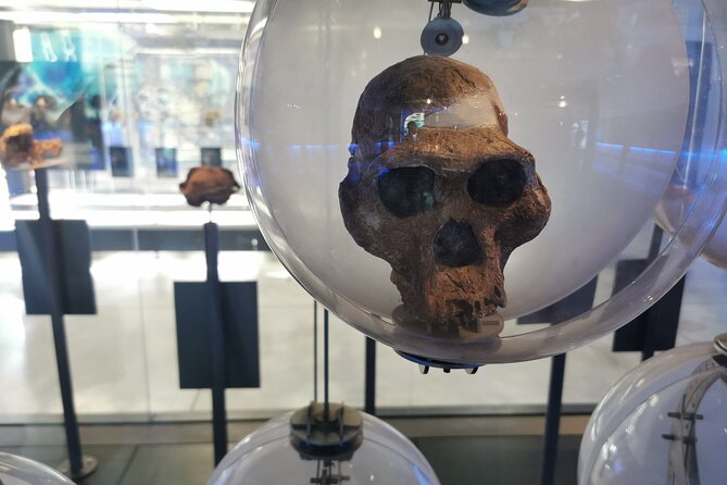 Cradle of Humankind, Caves or Maropeng, Rhino and Lion Park - Significance of the Caves