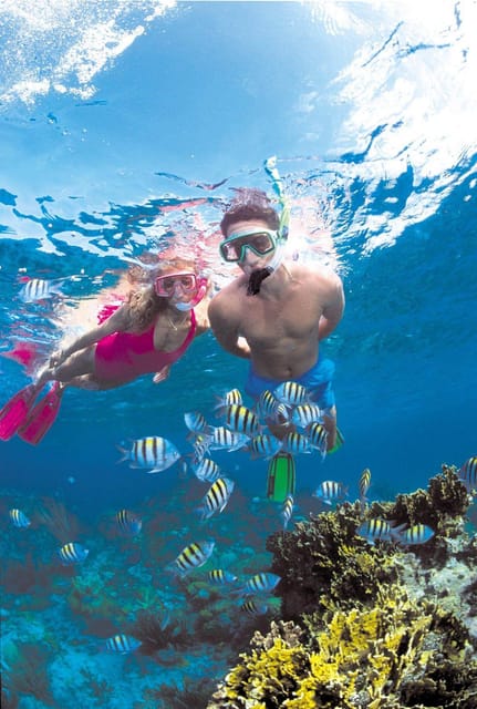 Crete: Coastline Snorkeling Cruise From Hersonissos Port - Experience Highlights