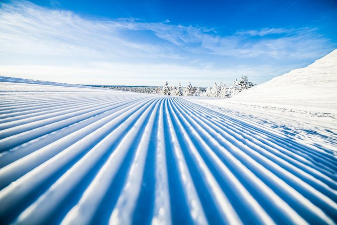Cross-Country Skiing Trip - Pickup and Meeting Details