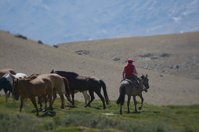 Crossing the Andes on Horseback in a 5-Day Tour - Itinerary at a Glance