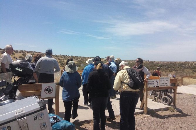 Cruise Shore Excursion Punta Tombo Tour - Puerto Madryn - Patagonia - Argentina - Booking and Cancellation Policy