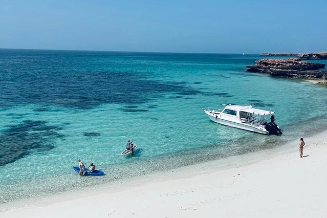 Cruises to Daymaniyat & Snorkeling - Snorkeling Opportunities