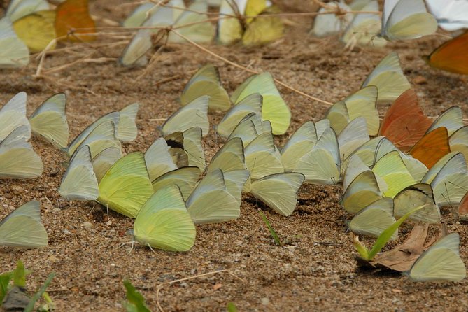 Cuc Phuong National Park Trekking Day Trip - Wildlife Encounters at the Park
