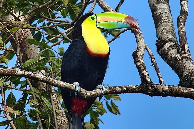 Curicancha Reserve Birdwatching Tour - Inclusions and Amenities
