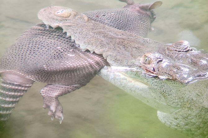 Curú Wildlife Refuge With Transportation - Activity Highlights