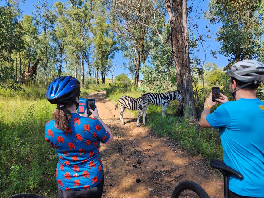 Cycle With Wild Animals (No Predators, Quality Cycles) - Encounter Diverse Wildlife on Bicycles