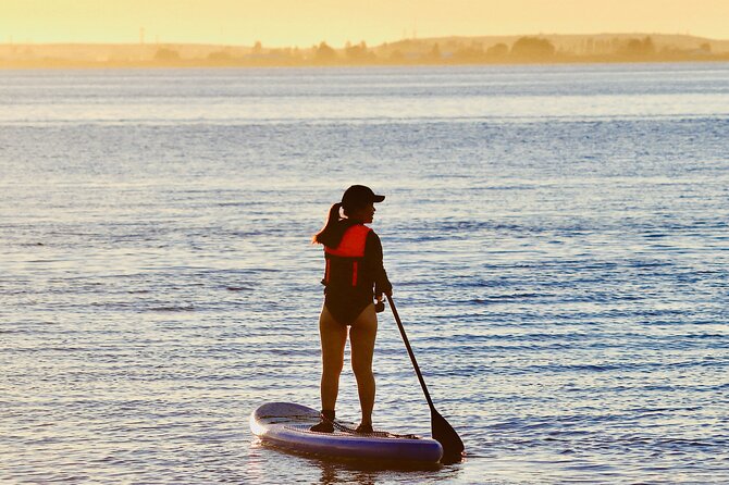 Daily SUP Paddleboard Rentals Package in Metro Vancouver - Meeting Point and Pickup