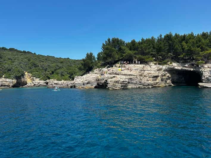 Daily Tour With Swimming - Meeting and Participants