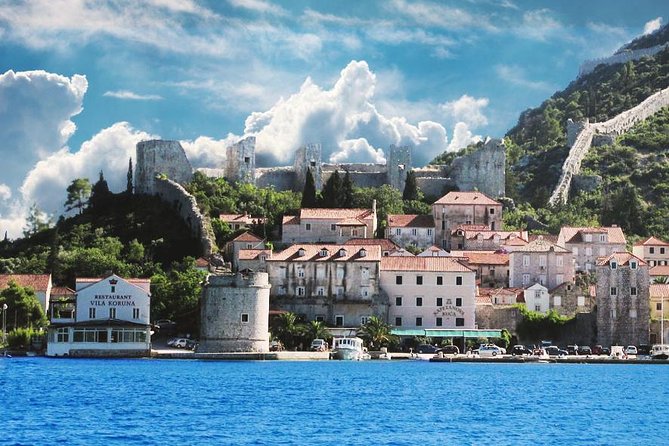 Dalmatian Flavors:Farm to Table Food Experience & Oyster Picking & Wine Tasting - Mastering the Art of Olive Oil