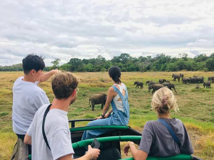 Dambulla/Sigiriya/Habarana: Minneriya National Park Safari - Experience Highlights