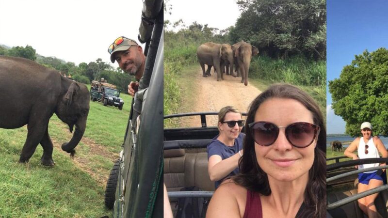 Dambulla/Sigiriya: Polonnaruwa & Minneriya Park Jeep Safari - Itinerary and Activities