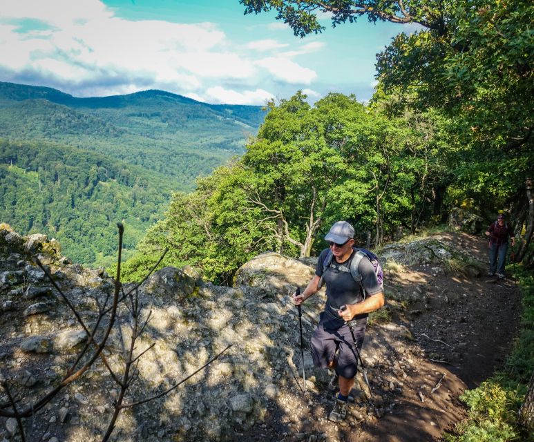 Danube Bend: Full-Day Hiking Tour From Budapest - Itinerary Highlights