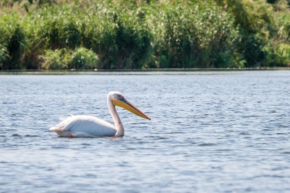 Danube Delta - 2-Day Tour From Bucharest - Itinerary Details