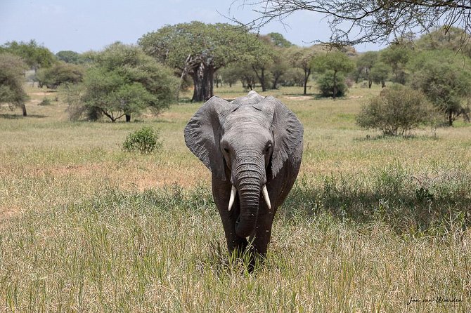 Day 1 Arusha – Lake Manyara National Park - Inclusions and Exclusions