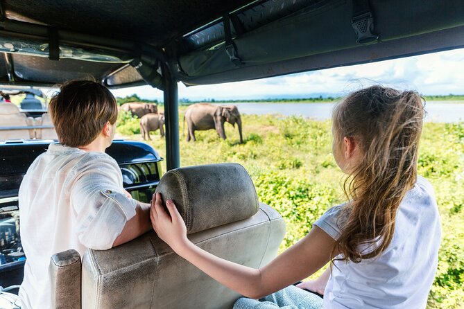 Day Excursion at Udawalawe National Park From Galle - Pickup and Meeting Details