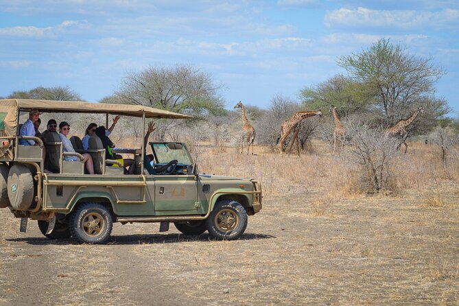 Day Safari Tour Selous Game Reserve - Inclusions and Amenities