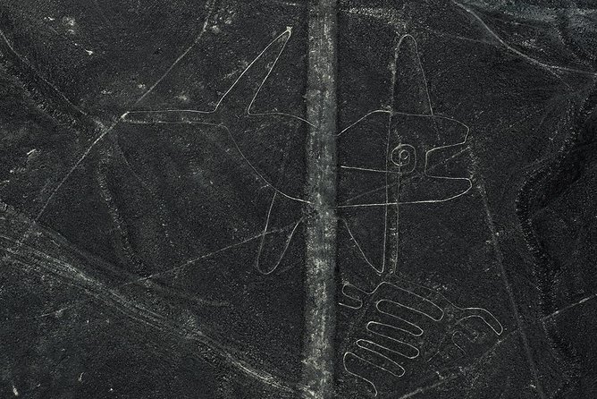 Day Tour Nazca Lines From Lima - Itinerary and Transportation