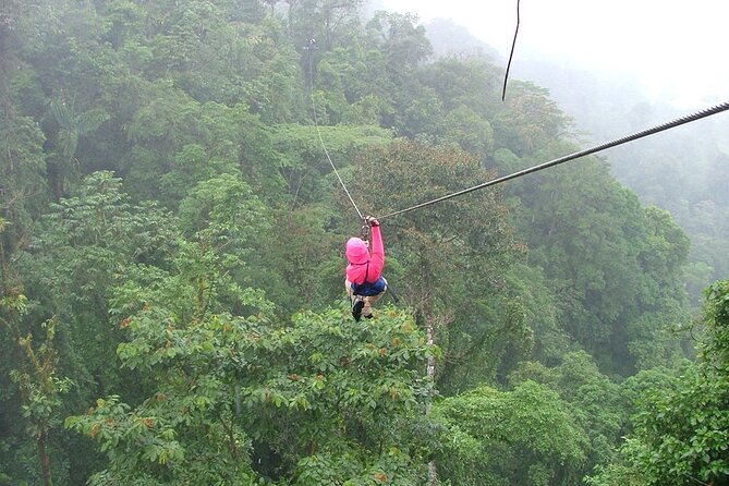 Day Trip From San Jose to Braulio Carrillo Canopy Tour - Included Tour Amenities